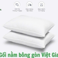 02 gối nằm bông ép